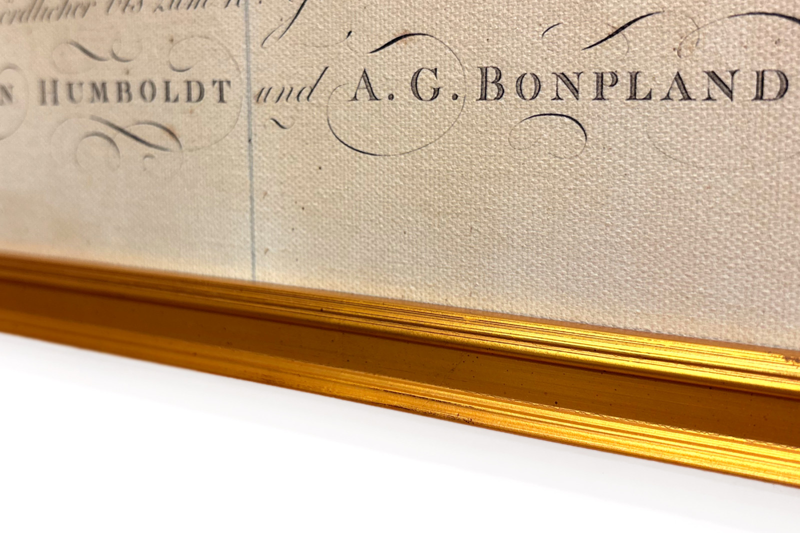 Geografie der Pflanzen in tropischen Ländern, eine Studie der Anden, gezeichnet von Schoenberger und Turpin, gedruckt von Langlois, Paris - Baron Friedrich Alexander von Humboldt