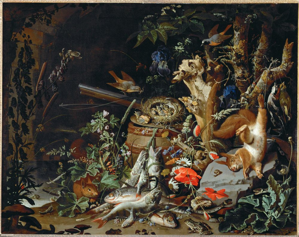 Das Nest der Finken - Fische, Reptilien und ein toter Eichhörnchen ...