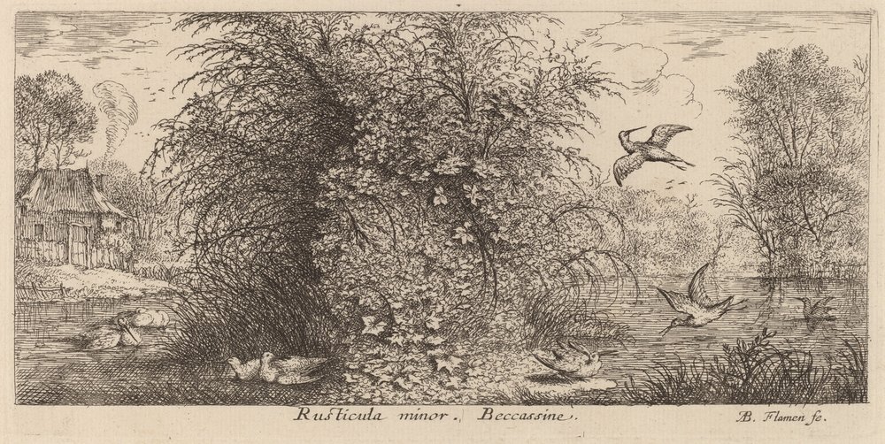 Rusticula minor, die Schnepfe von Albert Flamen