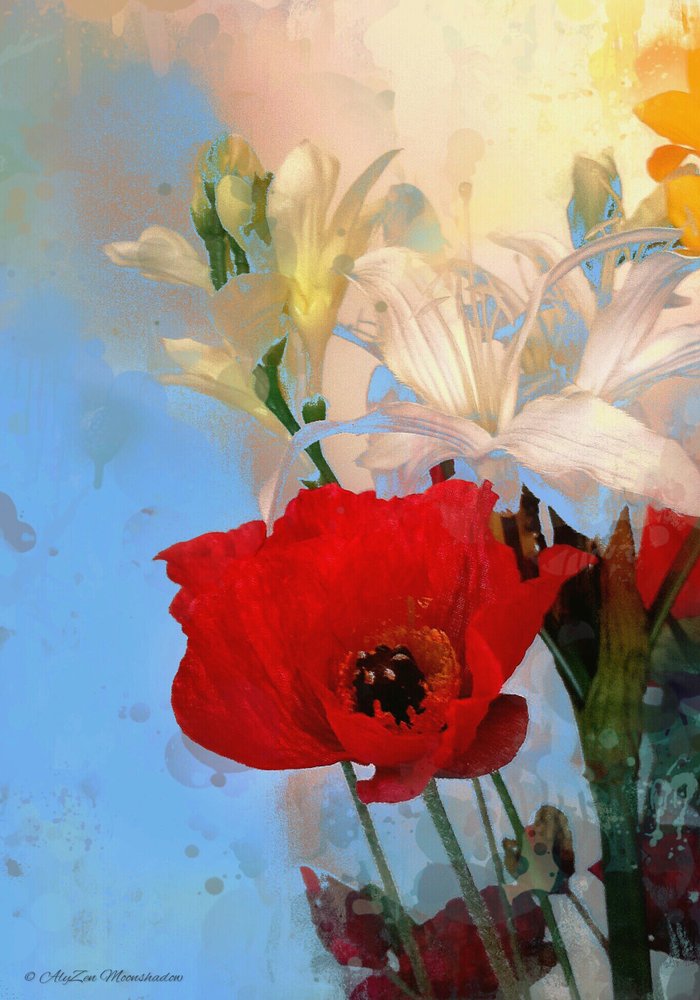Mohnblume auf Blau, 2014 von AlyZen Moonshadow