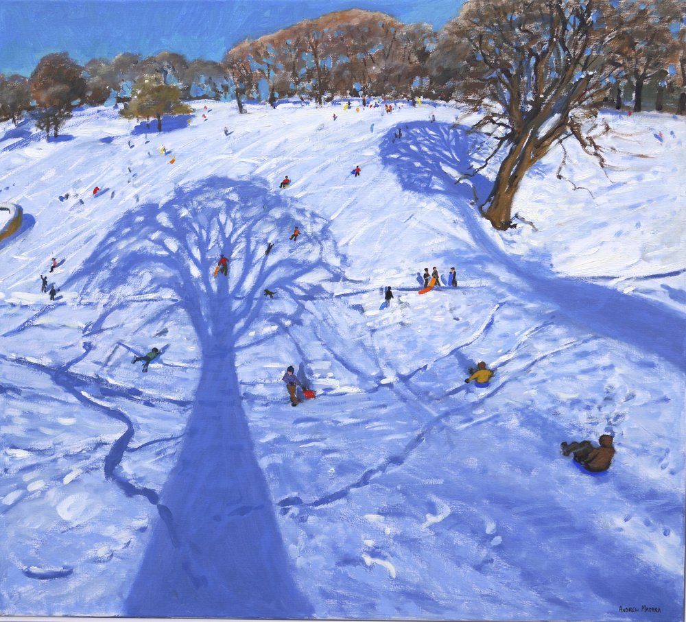 Chatsworth, Schatten winterlicher Bäume, 2013 von Andrew Macara