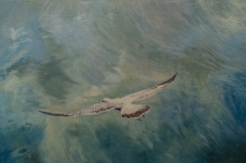 Möwenflügel ausgebreitet, 2012 von Antonia Myatt