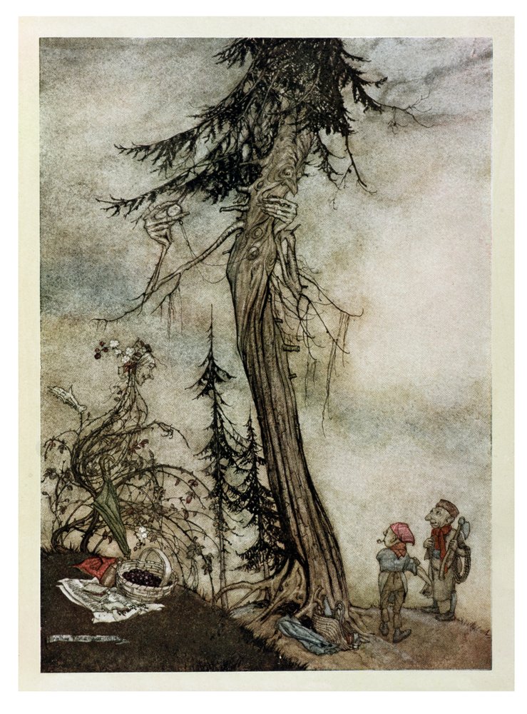 Die Tanne und der Brombeerstrauch, Illustration aus „Äsops Fabeln“, veröffentlicht bei Heinemann, 1912 von Arthur Rackham