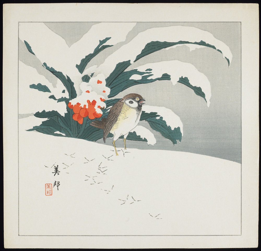 Vogel im Schnee, frühes 20. Jahrhundert von Biho Takashi or Takahashi (b. 1873. fl 1890-1930)