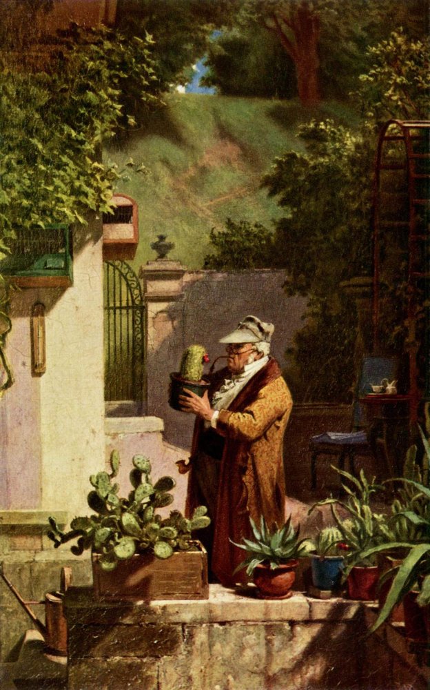 Kaktus von Carl Spitzweg: Hochwertigste Kunstreproduktion