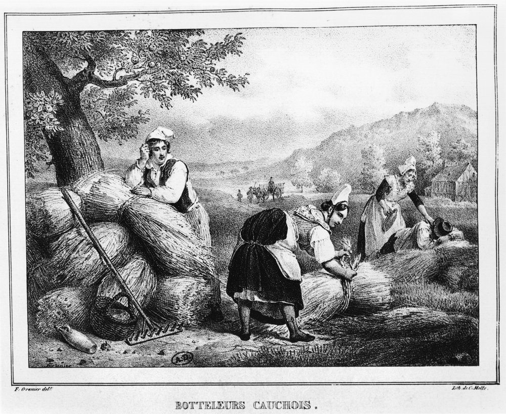 Die Garbenbinder, Pays de Caux, Normandie