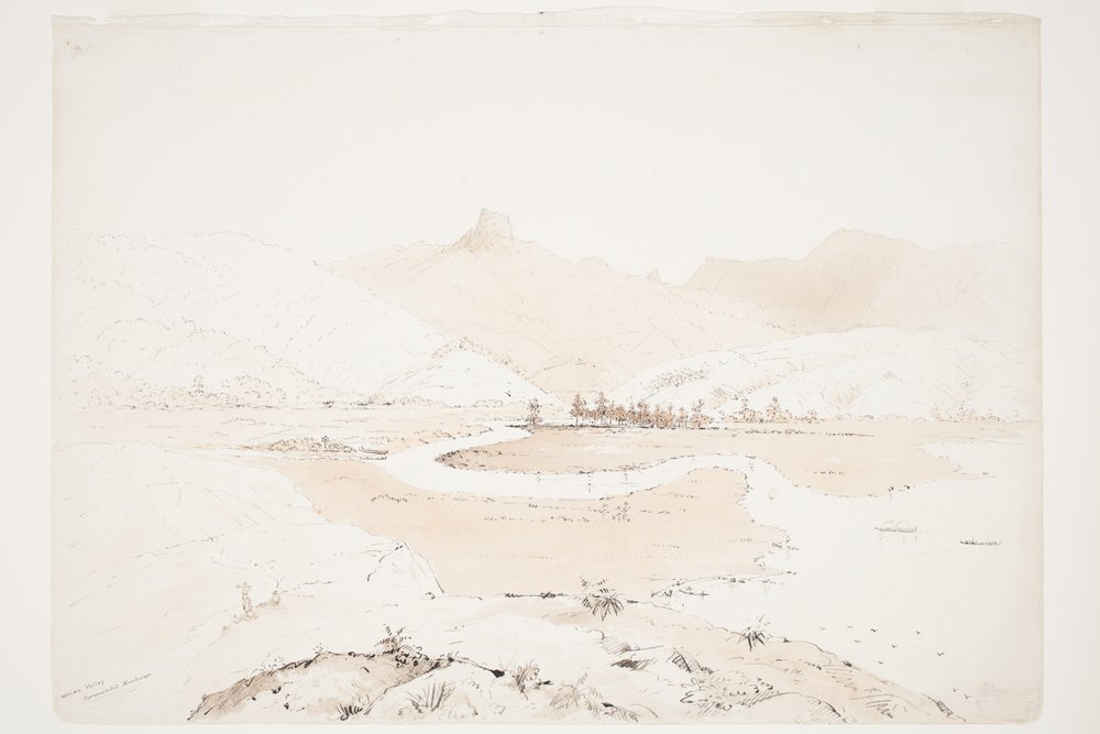 Waiau-Tal Coromandel-Hafen von Charles Heaphy