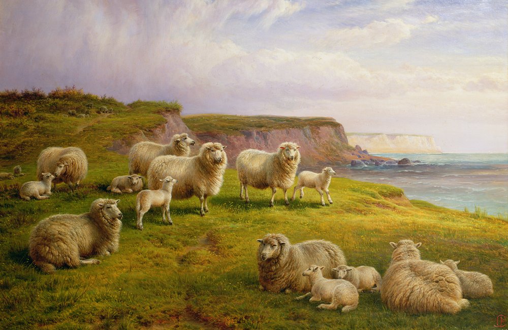 Schafe an einer Küste von Dorset von Charles Jones