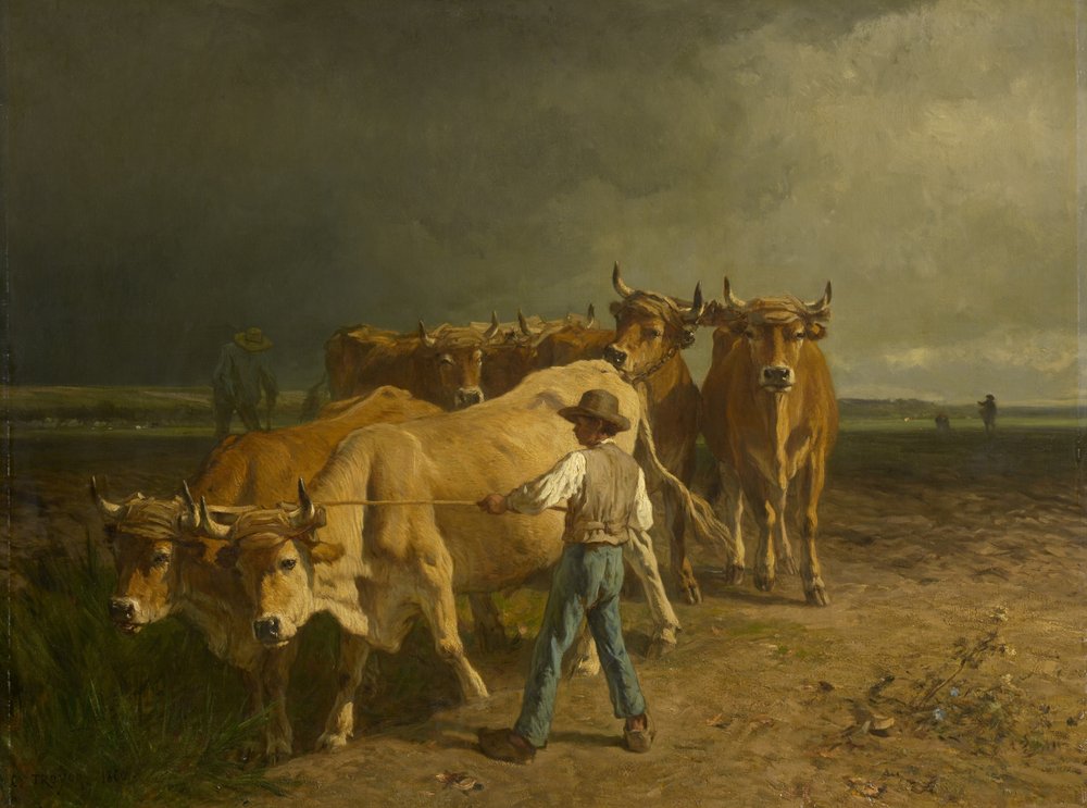 Pflügende Ochsen, 1860 von Constant-Emile Troyon
