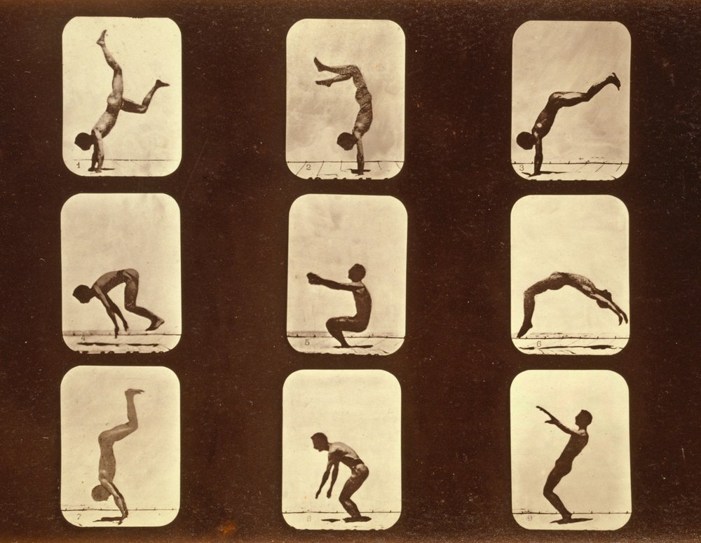 Athleten. Unregelmäßig aus der Serie 'Animal Locomotion', ca. 1881 von Eadweard Muybridge