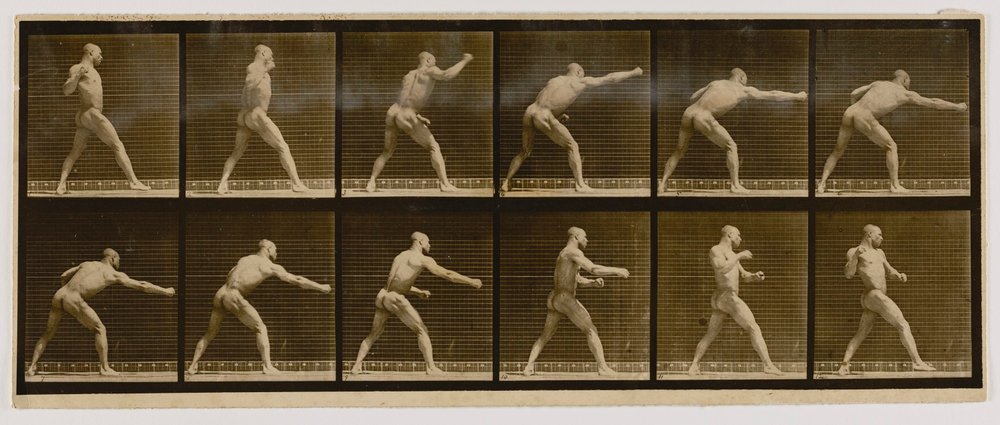 Boxer, der einen Schlag ausführt, aus dem Buch Animal Locomotion von Eadweard Muybridge