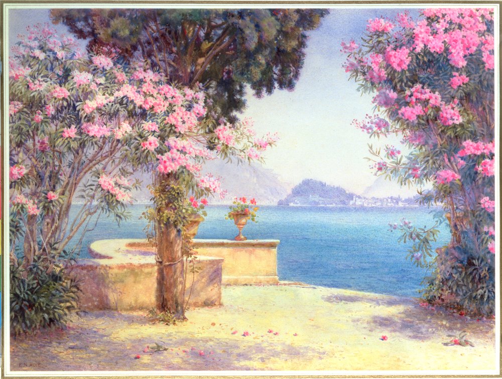 Bellagio, vom Garten des Grand Hotels, Menaggio von Edith Helena Adie