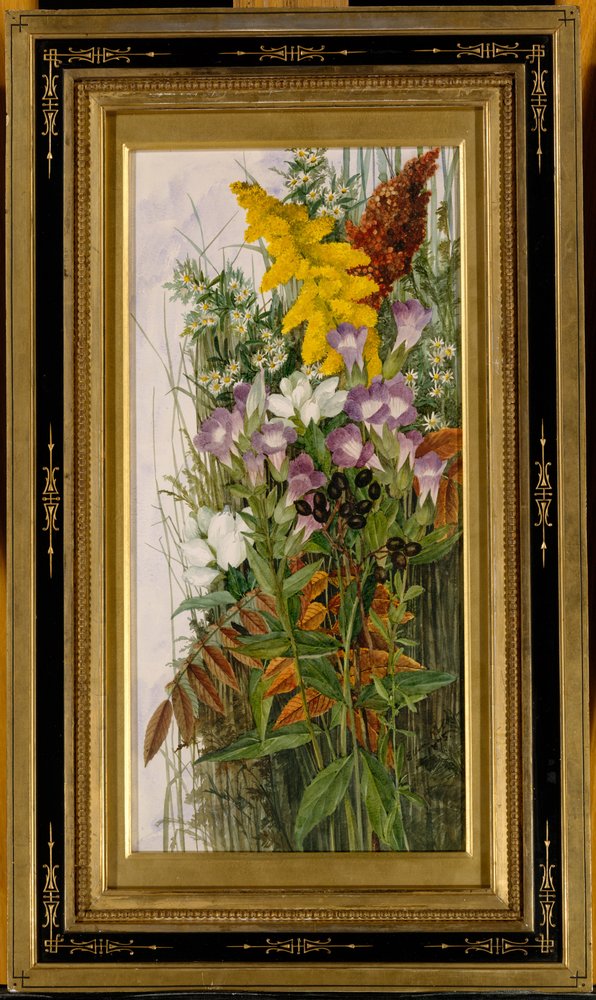 Wildblumen von Ellen Robbins