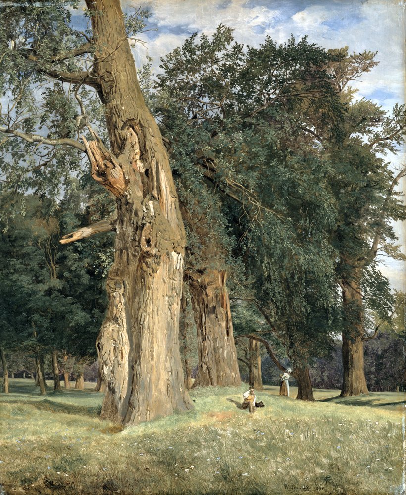 Alte Ulmen im Prater, 1831 von Ferdinand Georg Waldmüller