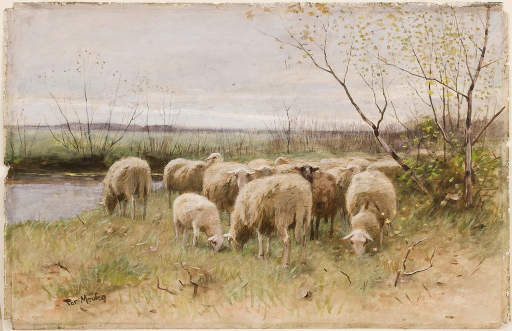 Schafe von Francois Pieter ter Meulen: Kunstdruck kaufen