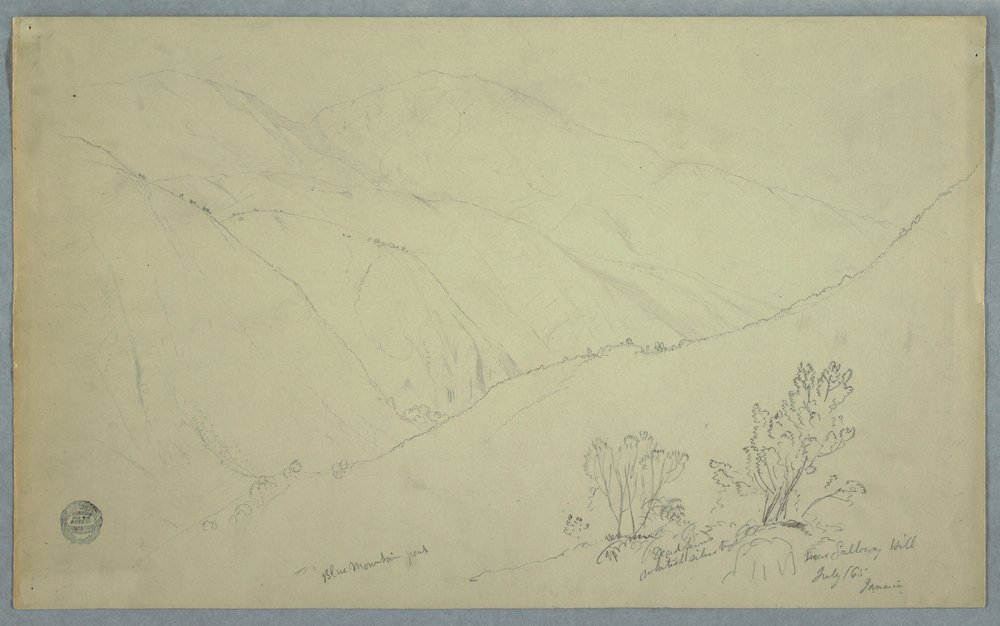 Blick auf den Blue Mountain Peak, gesehen von der Nähe von Salloway Hill, Jamaika, Juli 1865 von Frederic Edwin Church