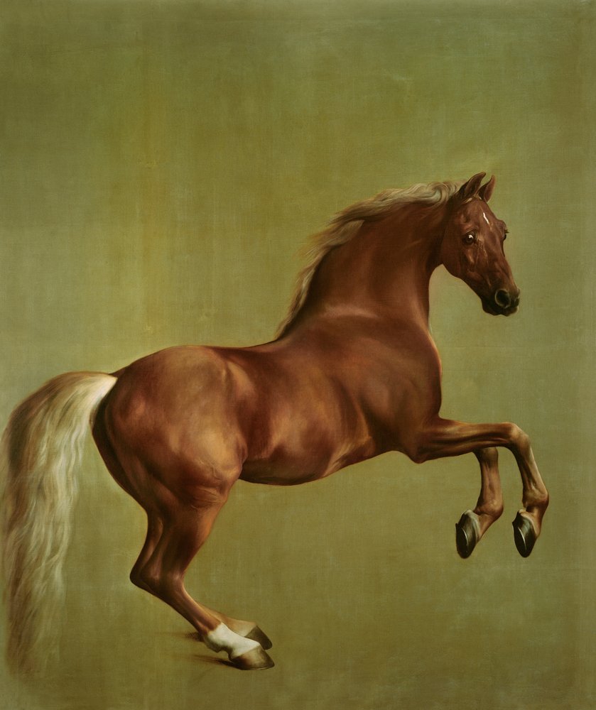 Whistlejacket, 1762 von George Stubbs
