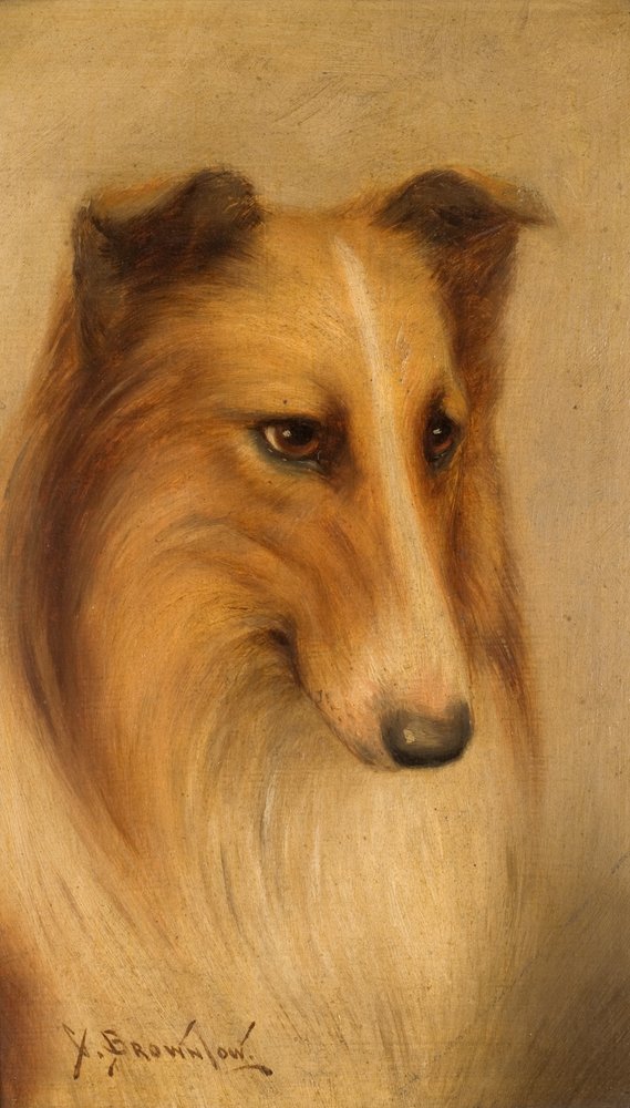 Collie von George Washington Brownlow: Kunstdruck kaufen