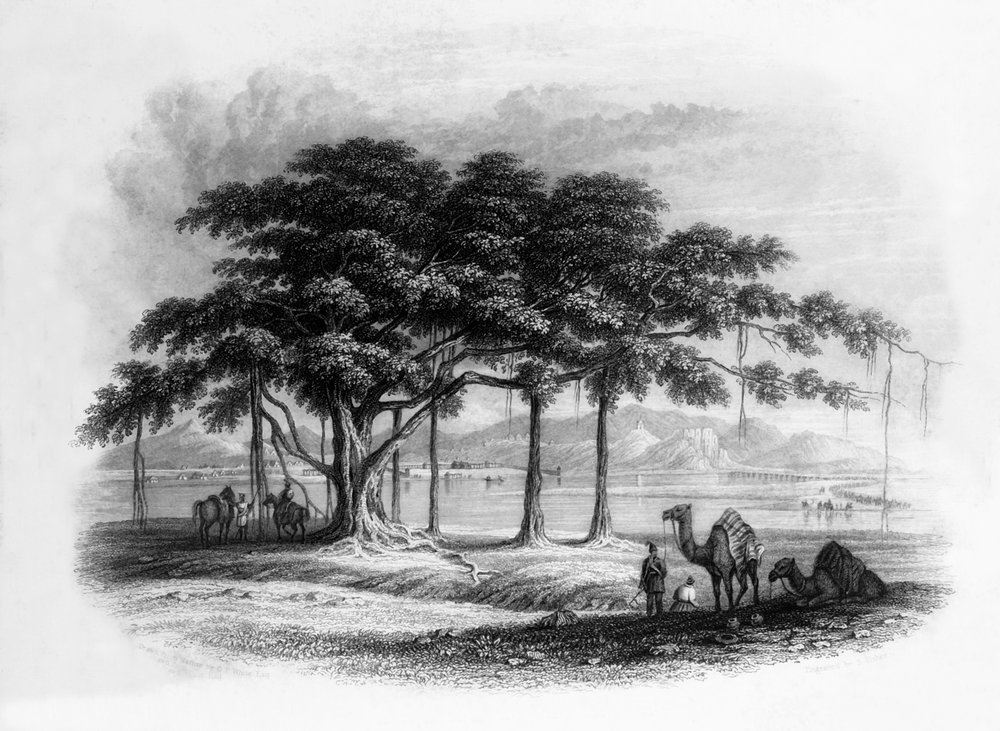 Runjeet Singhs Lager bei Roopur, am Fluss Sutlej, 1838