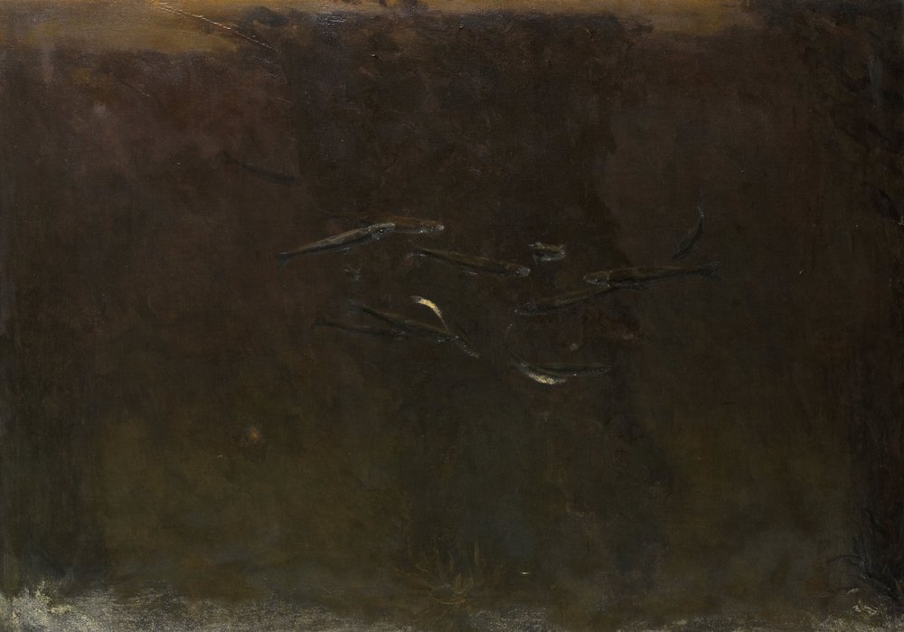 Fische in einem Aquarium von Gerrit Willem Dijsselhof