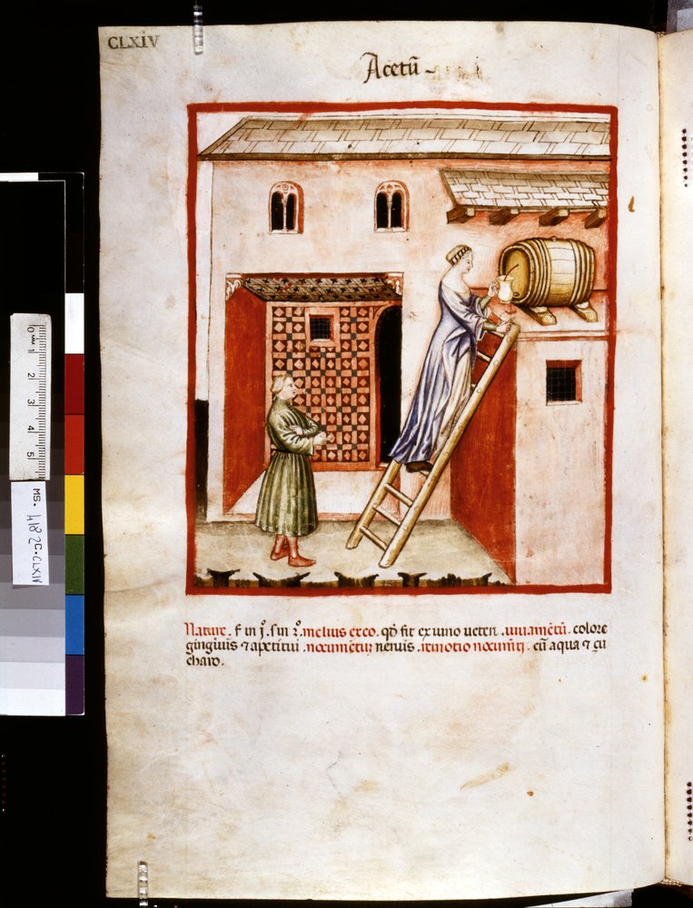 Theatrum sanitatis von Ububchasym de Baldach: 'Acetum'