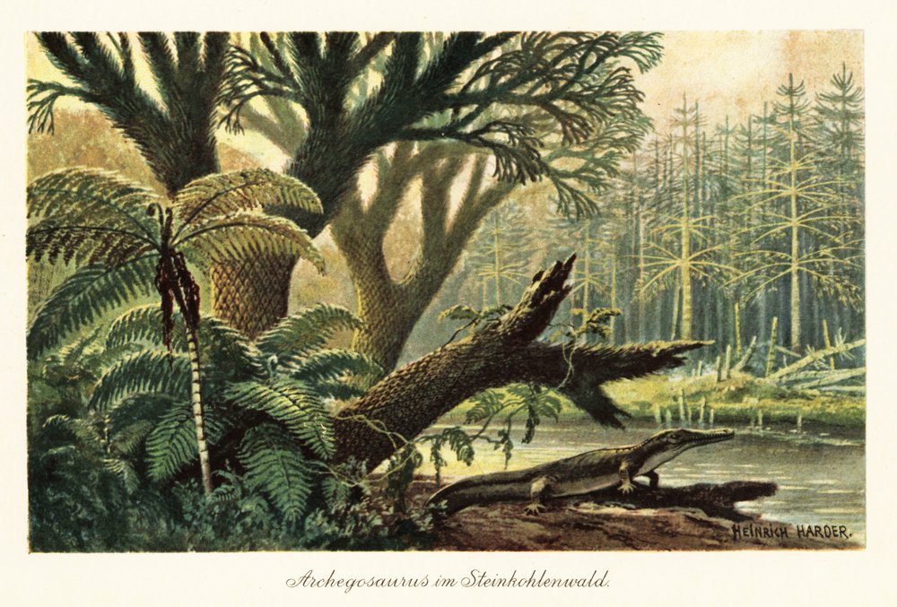 Archegosaurus decheni an einem Fluss im Urwald