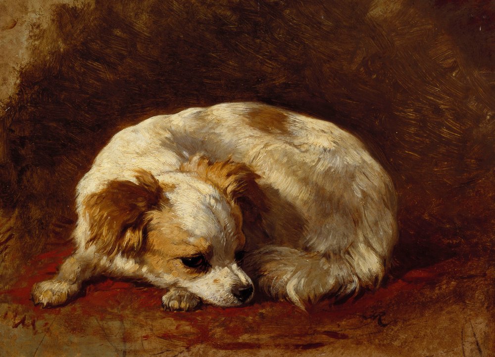 Ein Papillon von Henriëtte Ronner-Knip
