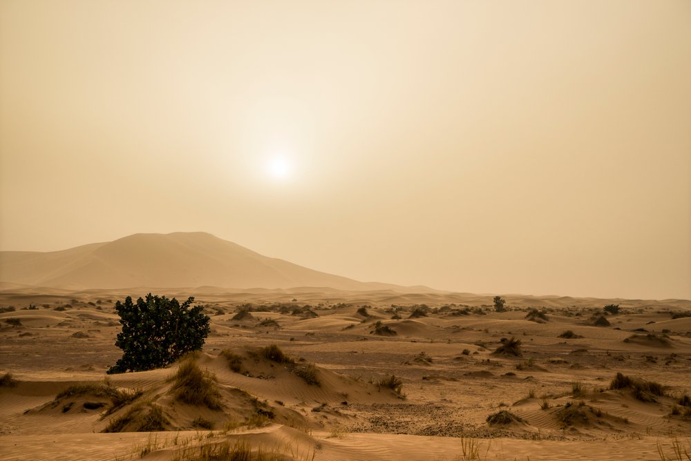 Sanddünen in der Erg Chebbi Wüste im Südosten Marokkos, 2014 (Foto) von Ira Block