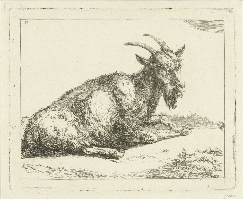 Ziege von Jan Dasveldt