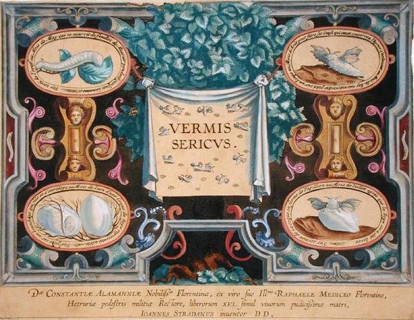 Frontispiz zu 'Vermis Sericus' (Der Seidenspinner), graviert von ...