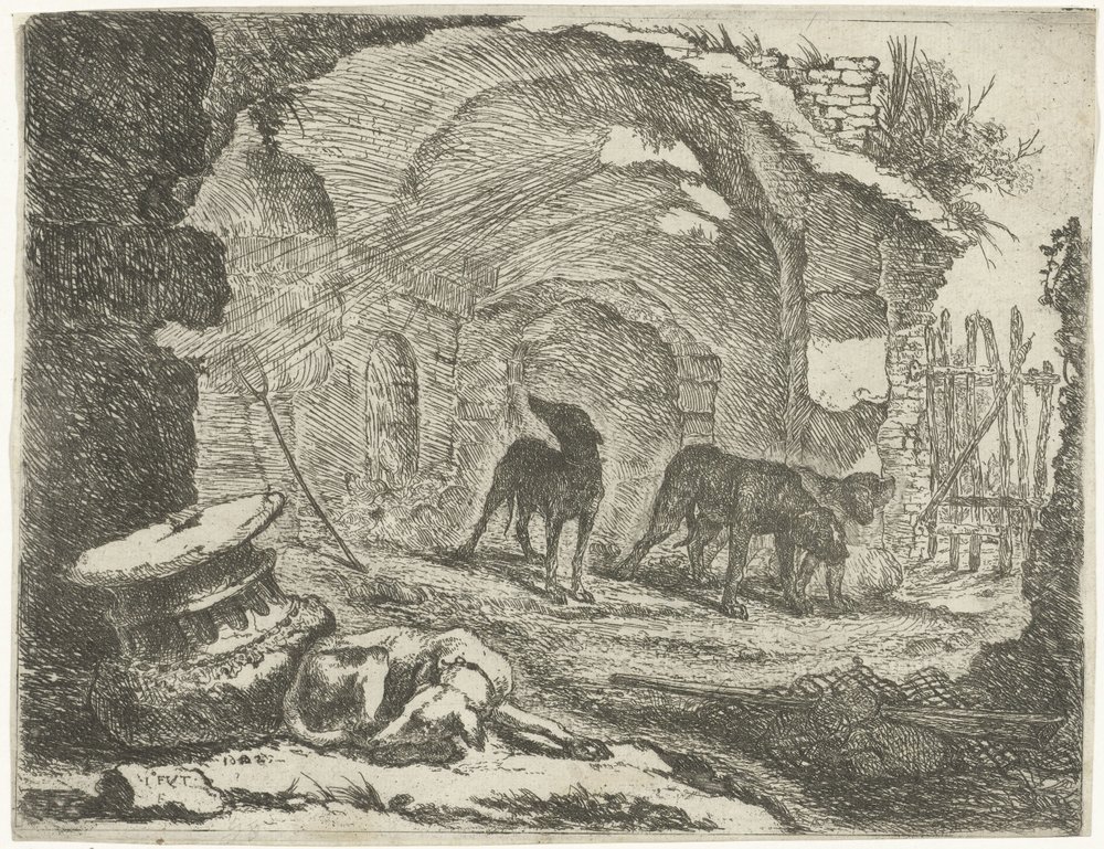 Vier Hunde bei einer Ruine von Joannes Fijt: Kunstdruck