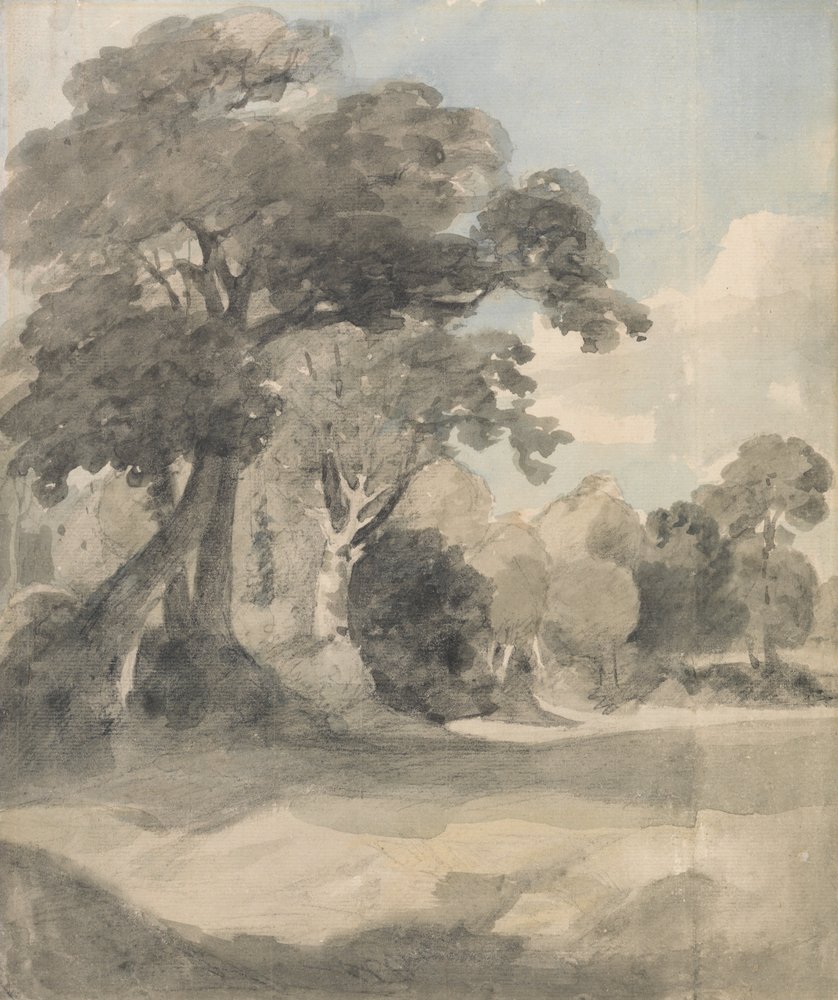 Bäume auf einer Wiese von John Constable