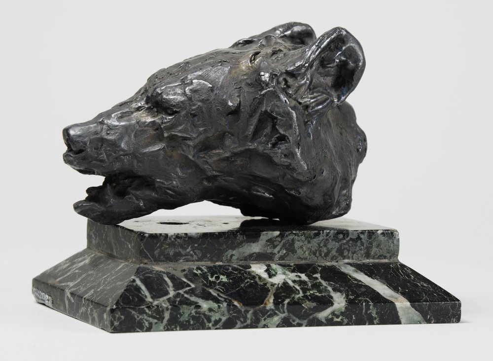 Bärenkopf, ca. 1900 von John Macallan Swan