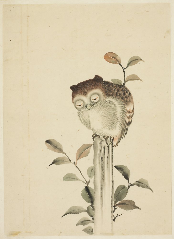Schlafende Eule auf einem Baumstumpf von Katsushika (school of) Hokusai
