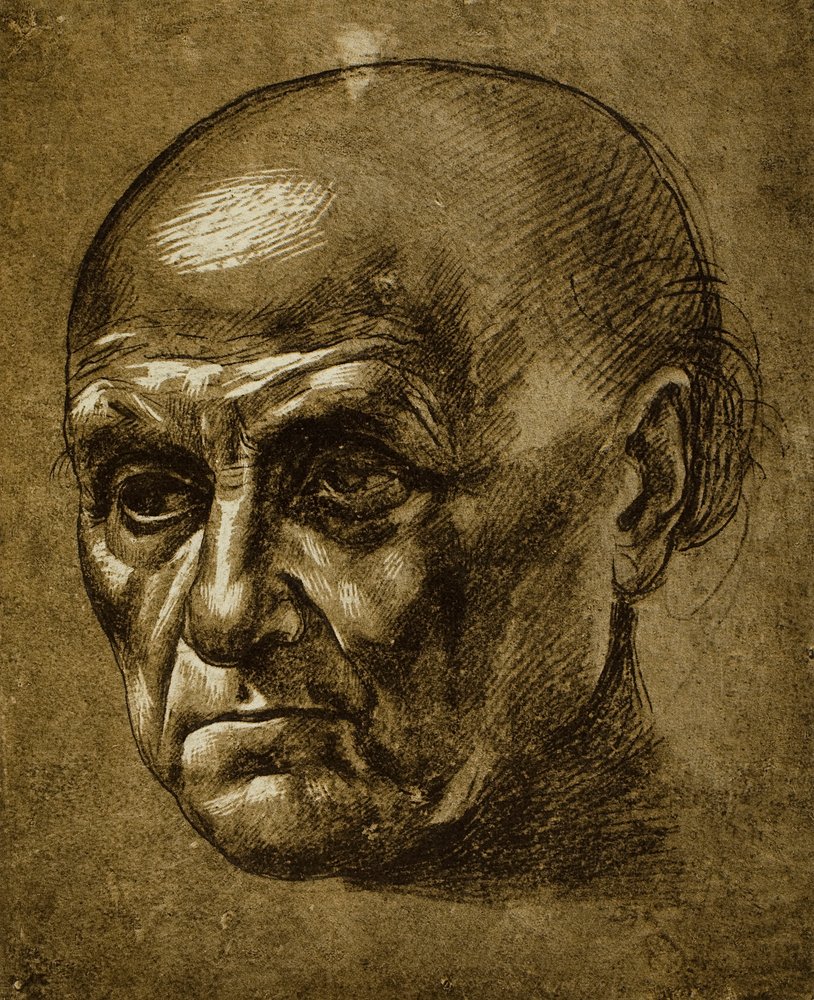 Studie eines männlichen Gesichts von Leonardo da Vinci