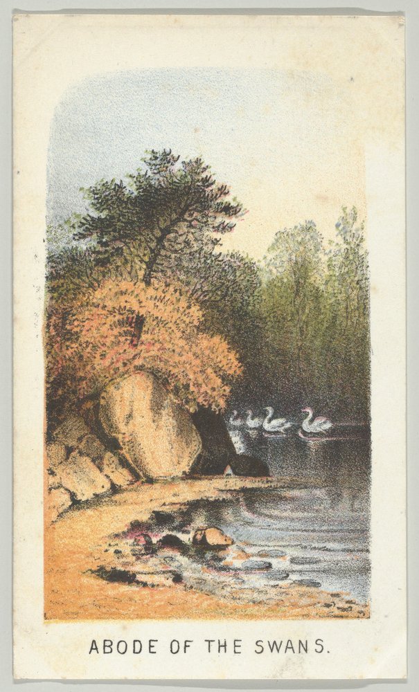 Wohnsitz der Schwäne, aus der Serie Ansichten im Central Park, New York, Teil 2, 1864 von Louis Prang