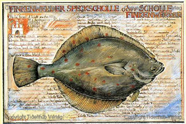 Finkenwerder Speckscholle von Ole West