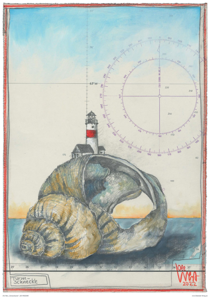 TURMSCHNECKE von Ole West