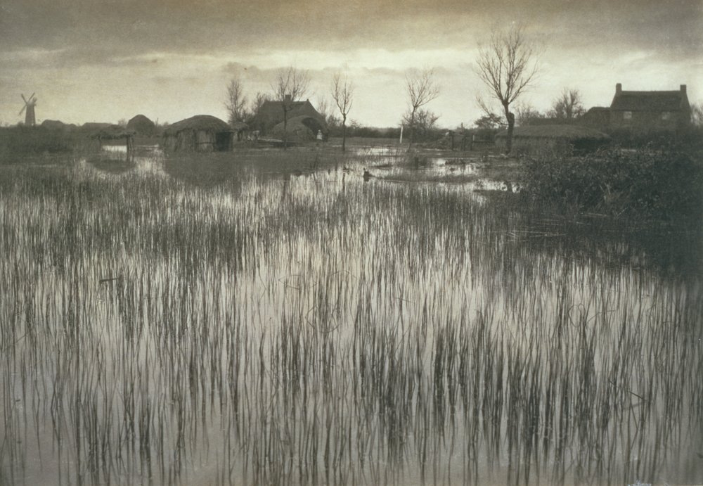 Ein schilfiges Ufer, Leben und Landschaft auf den Norfolk Broads, ca. 1886