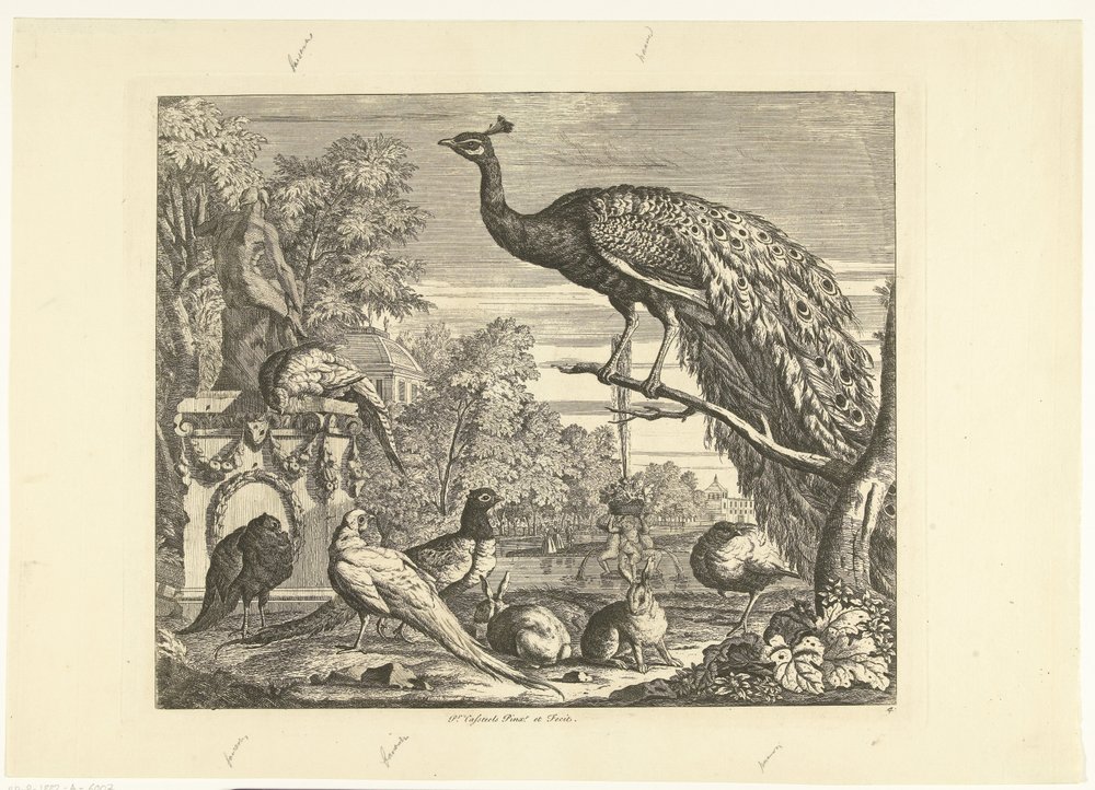Pfau, Kaninchen und andere Vögel bei einem Gartenbrunnen Verschiedene Vögel (Serientitel) von Peter Casteels (III)
