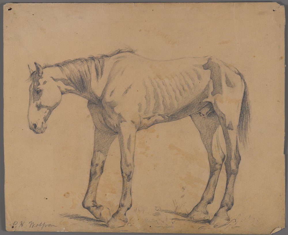 Pferd von Philip H. Wolfrom