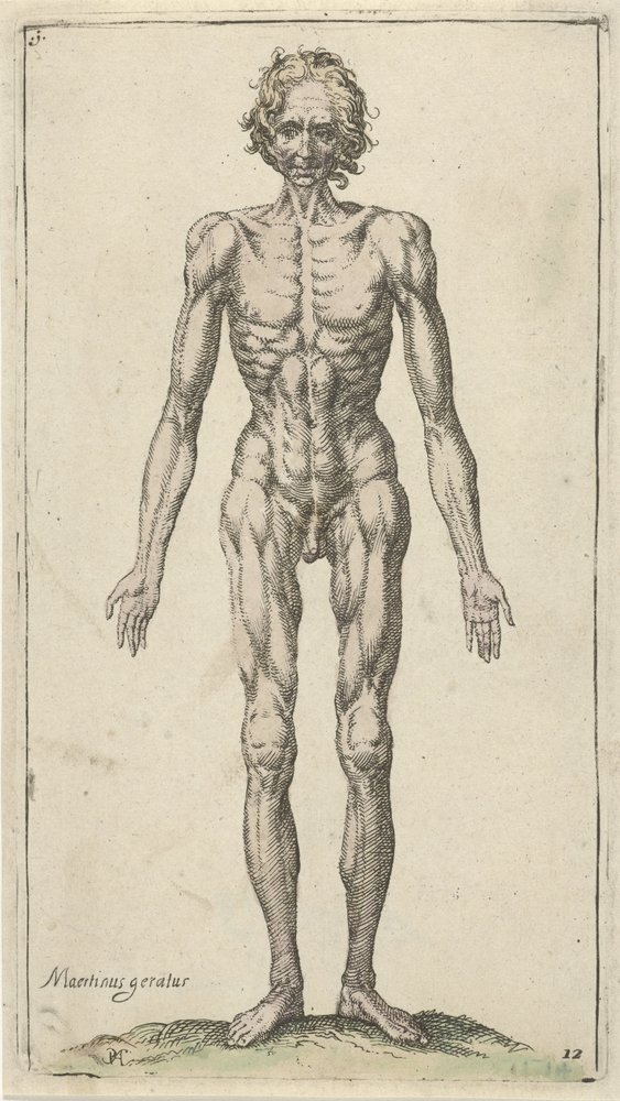 Studie eines nackten Mannes von Pieter Feddes van Harlingen