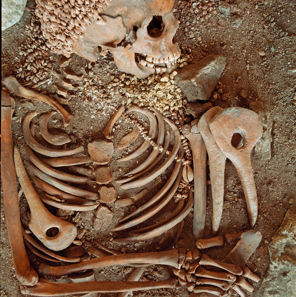 Vorgeschichte: Skelett und Grabbeigaben des Jugendlichen, der als junger Prinz aus der Höhle Arene Candide bei Finale Ligure bezeichnet wird: Halskette aus Muscheln, Hirschhorn und Feuerstein. Steinzeit, Jungpaläolithikum. Genua, Museo di archeologia von Prehistoric Prehistoric