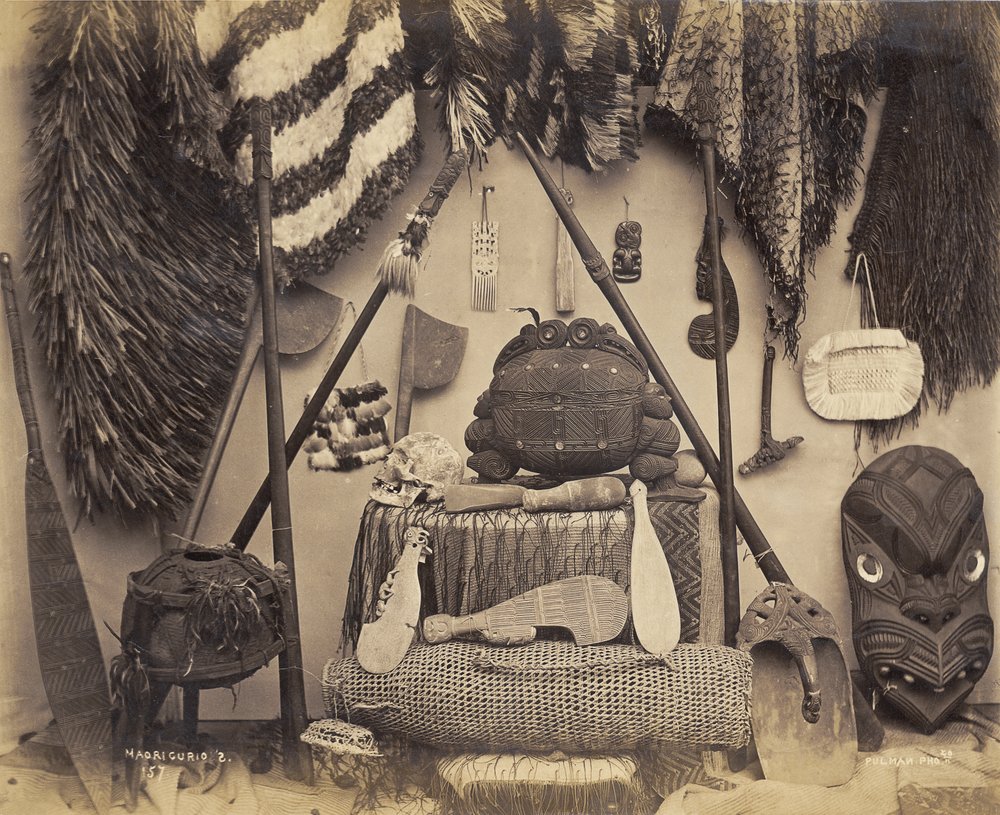 Maori-Kuriositäten von Pulman Studio