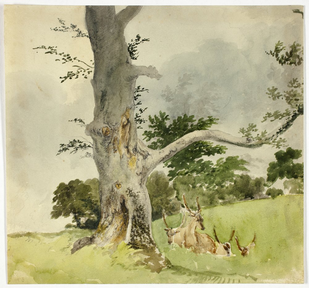 Familie von Hirschen unter einem Baum von Robert Hills