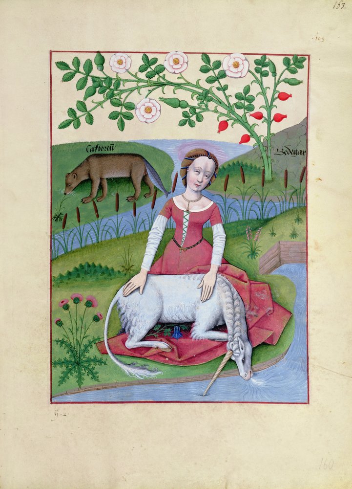 Ms Fr. Fv VI fol.163r Illustration aus dem Buch der einfachen ...