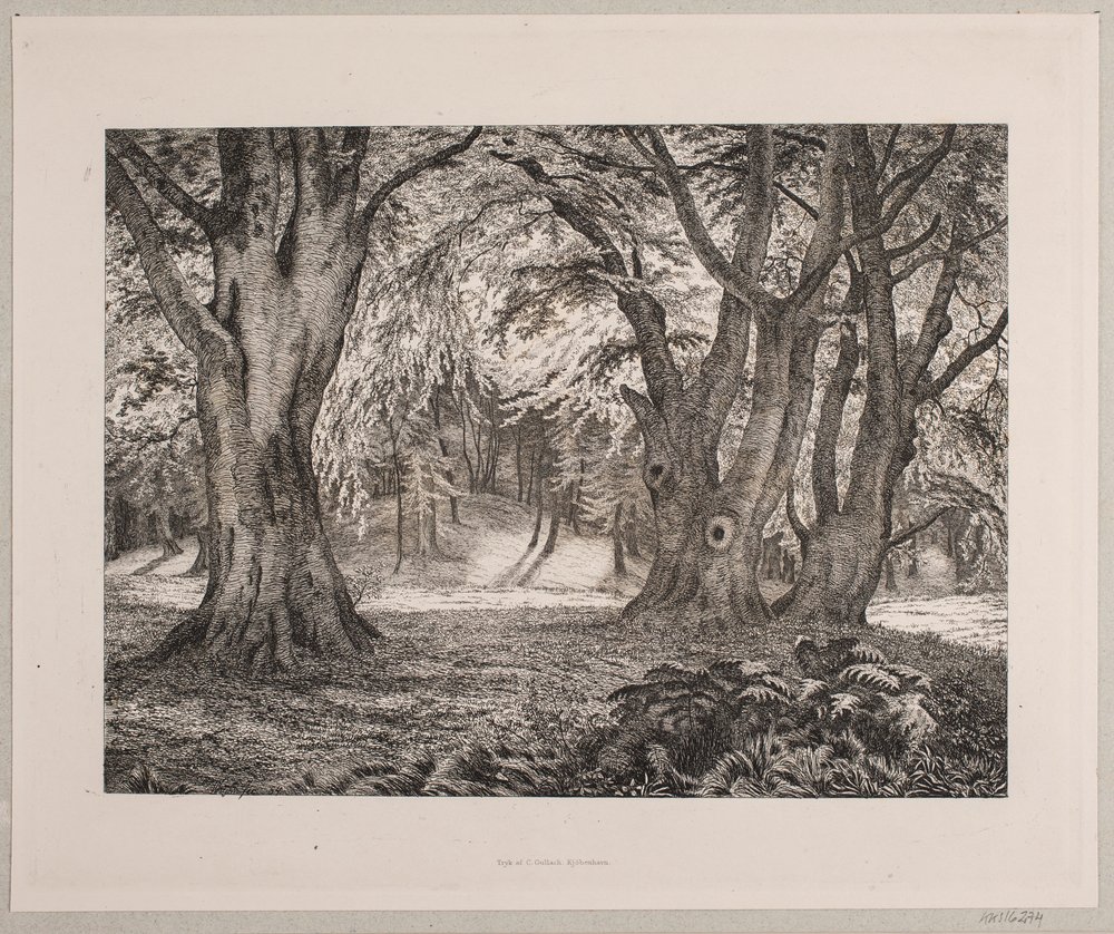 Das Innere eines Waldes von Vilhelm Kyhn