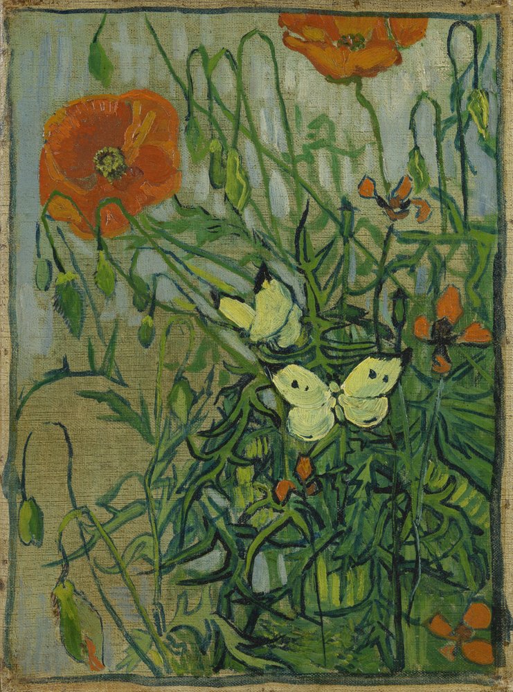 Briarwood Lane Hausflagge "Schmetterlinge & Mohnblumen" - 101,6x71,1 Cm, Wetterfestes Polyester, Doppelseitig Bedruckt