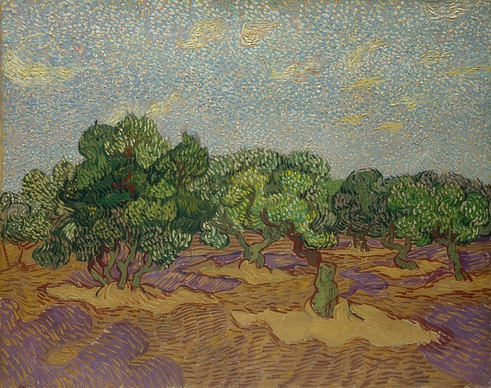 Olivenbäume. 1889 von Vincent van Gogh