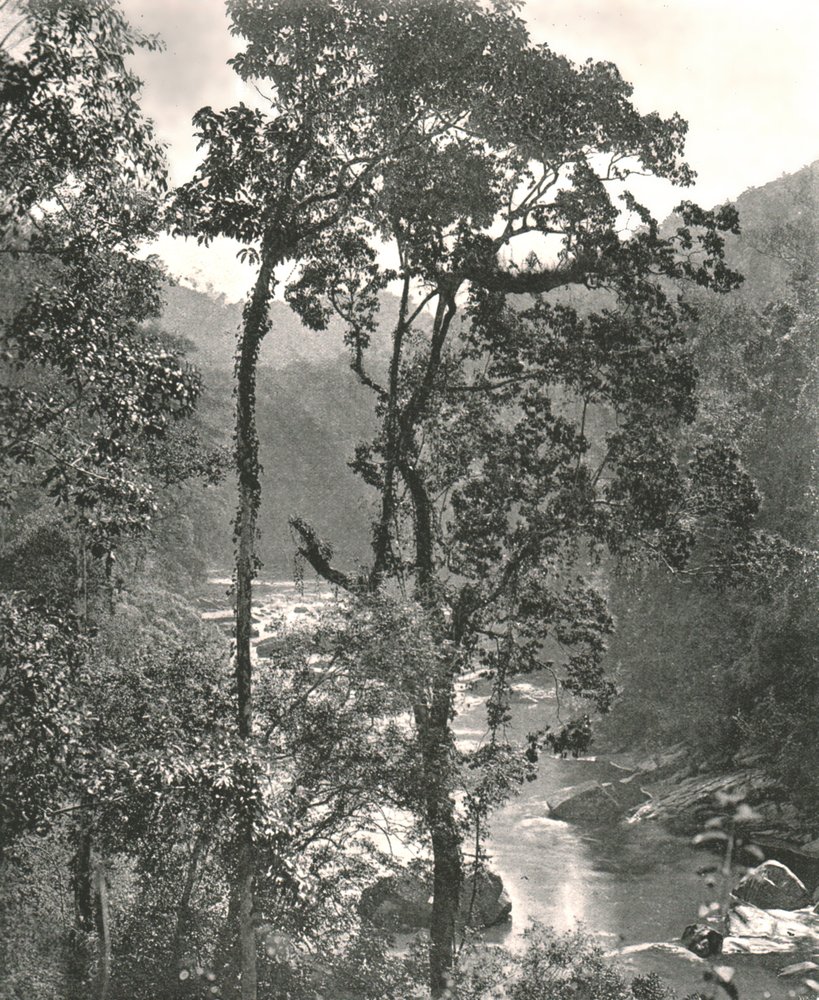 Ansicht des Kelani-Flusses, Kurunegala, Ceylon, 1895 von W and S Ltd